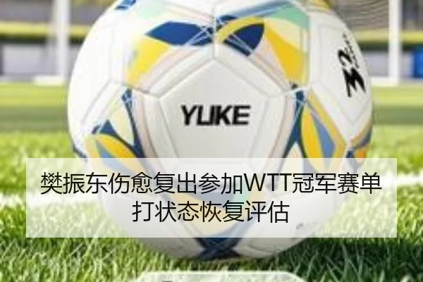 樊振东伤愈复出参加WTT冠军赛单打状态恢复评估